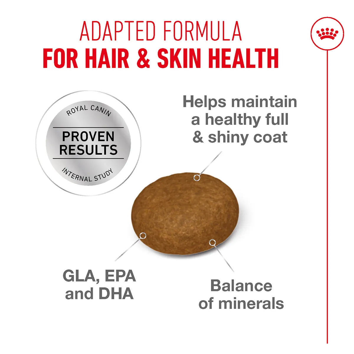 Royal Canin Hair & Skin Care dry cat food kibble with benefits infographic from Zigly