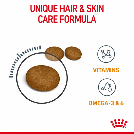 Royal Canin Hair & Skin Care dry cat food kibble enriched with vitamins and omega 3 & 6 at Zigly