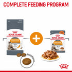Royal Canin Hair & Skin Care adult dry cat food and wet food pouches for a complete feeding program.