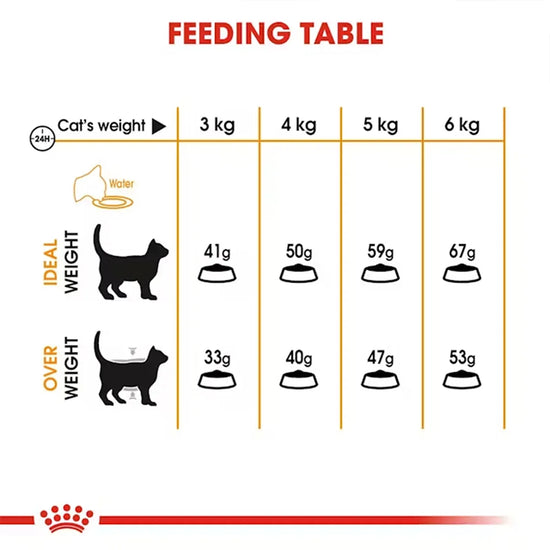 Royal Canin feeding table for adult cats showing daily food portions by weight from Zigly.