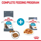 Royal Canin Urinary Care Dry Cat Food - All Breed Adult