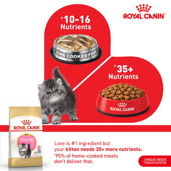 Royal Canin Persian Kitten Dry Cat Food