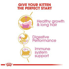 Royal Canin Persian Kitten Dry Cat Food