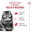 Royal Canin Persian Adult Dry Cat Food
