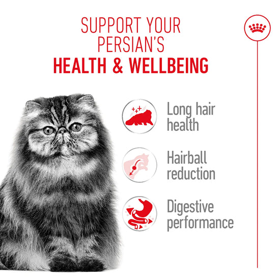 Royal Canin Persian Adult Dry Cat Food