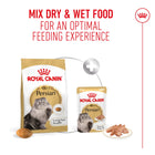 Royal Canin Persian Adult Dry Cat Food