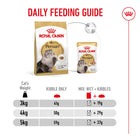 Royal Canin Persian Adult Dry Cat Food