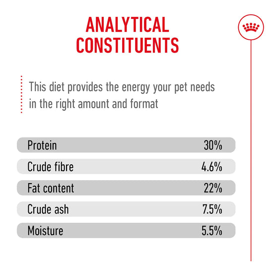 Royal Canin Persian Adult Dry Cat Food