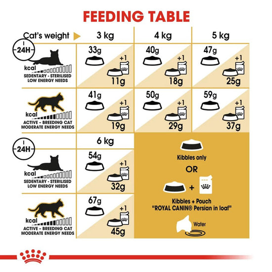royal-canin-persian-adult-dry-cat-food