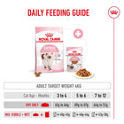 Royal Canin Kitten dry and wet food daily feeding guide for cats on Zigly