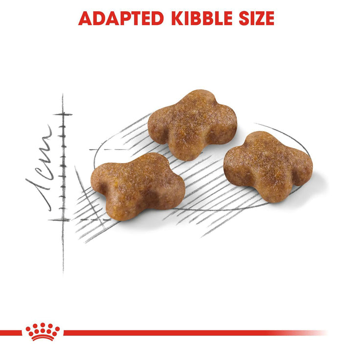 Royal Canin Kitten 36 Dry Cat Food - All Breed - 2kg