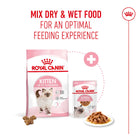 Royal Canin Kitten dry and wet food mix for optimal feeding experience at Zigly