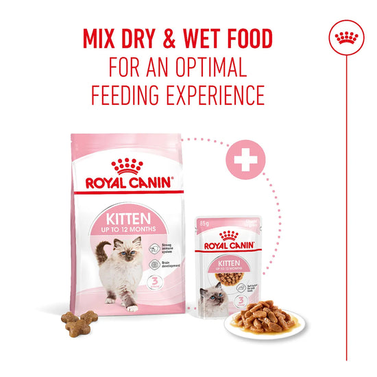 Royal Canin Kitten dry and wet food mix for optimal feeding experience at Zigly