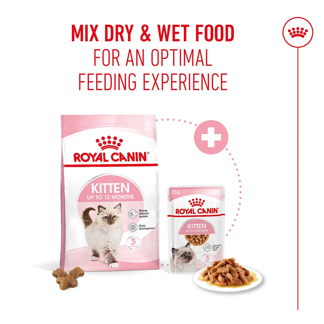 Royal Canin Kitten dry and wet food mix for optimal feeding experience available at zigly