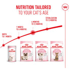 Royal Canin kitten nutrition guide showing food stages from birth to 12 months available at Zigly