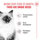Royal Canin kitten food benefits for immune system, brain, and microbiome support from zigly