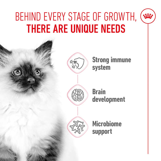 Royal Canin kitten food benefits for immune system, brain, and microbiome support from zigly