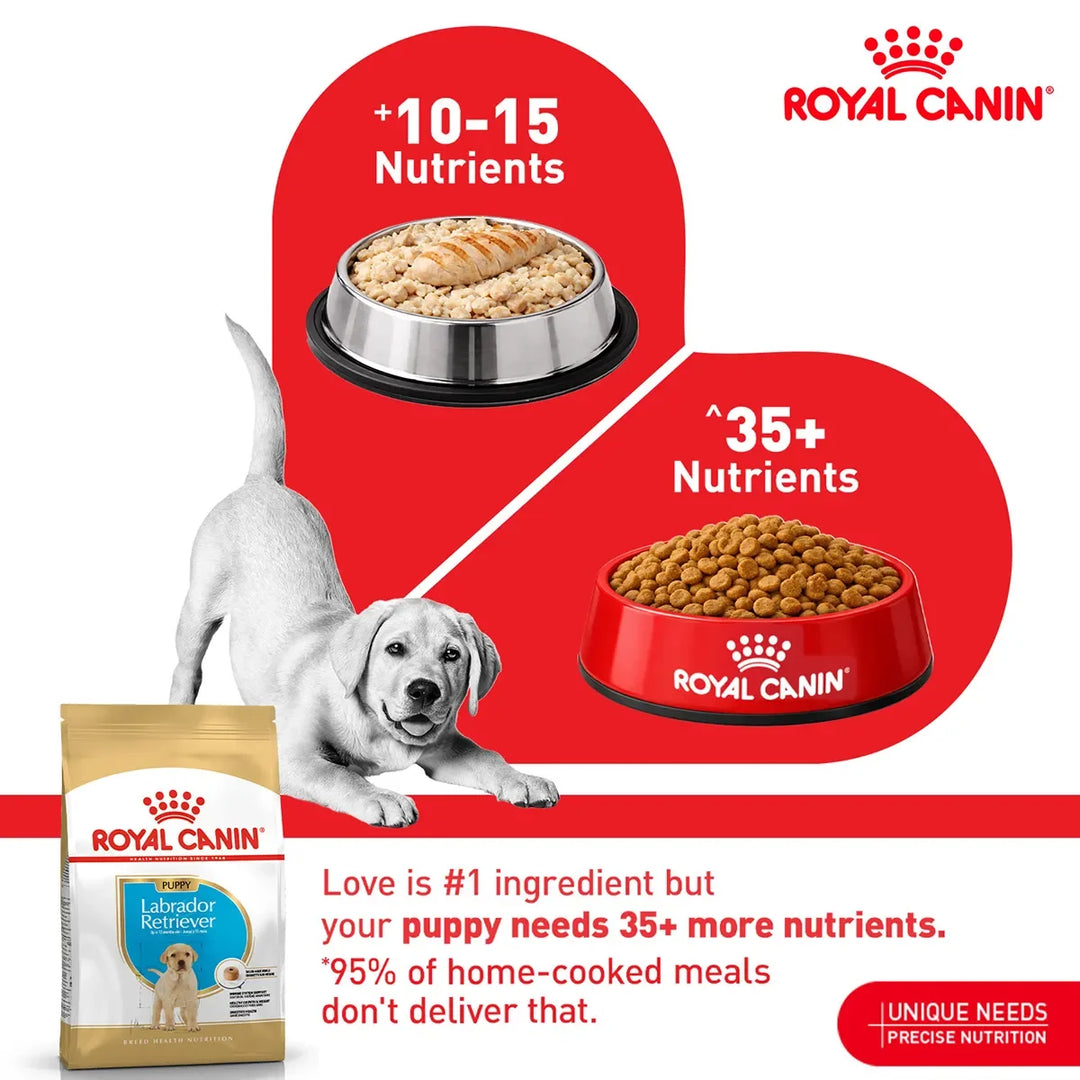 Royal Canin Labrador Retriever Puppy food compared to home-cooked meals available at zigly