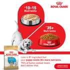 Royal Canin Labrador Retriever Puppy food compared to home-cooked meals available at zigly