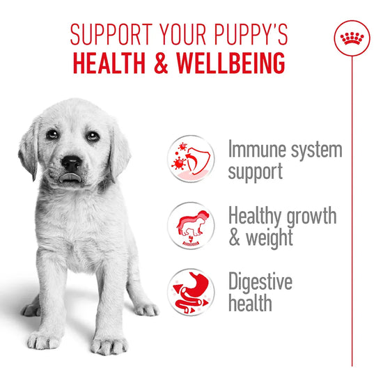 Royal Canin Labrador Retriever puppy food benefits for immune, growth, and digestive health at Zigly