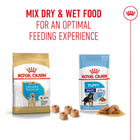 Royal Canin Labrador Retriever Puppy dry and wet food mix available at zigly