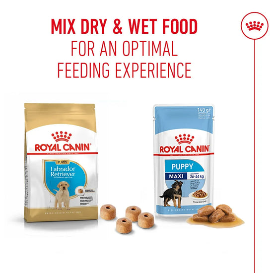 Royal Canin Labrador Retriever Puppy dry and wet food mix available at zigly