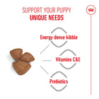 Royal Canin Mini Starter Mother & Babydog Dry Dog Food