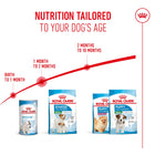 Royal Canin Mini Starter Mother & Babydog Dry Dog Food