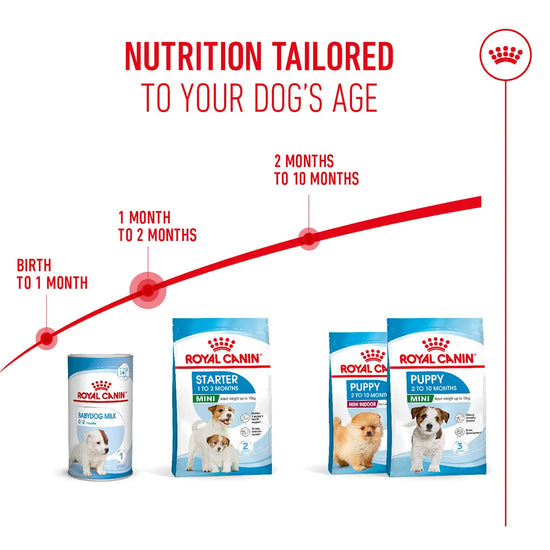 Royal Canin Mini Starter Mother & Babydog Dry Dog Food