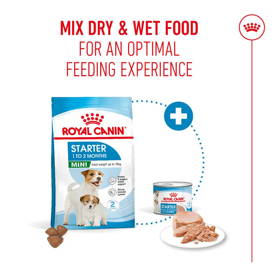 Royal Canin Mini Starter Mother & Babydog Dry Dog Food
