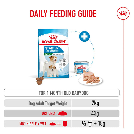 Royal Canin Mini Starter Mother & Babydog Dry Dog Food