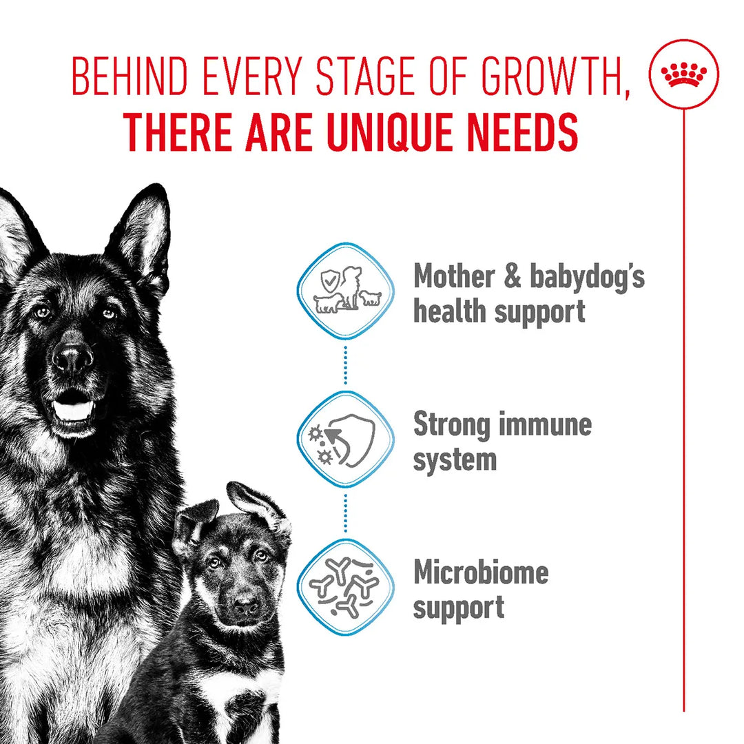 Royal Canin Maxi Starter for mother and babydog health, immune, and microbiome support via Zigly