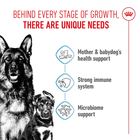 Royal Canin Maxi Starter for mother and babydog health, immune, and microbiome support via Zigly