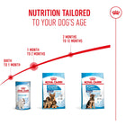 Royal Canin puppy nutrition guide showing Baby dog milk, Starter, and Puppy food from Zigly.