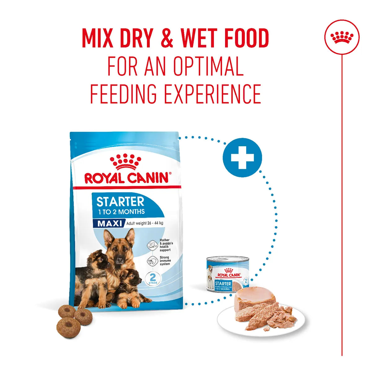 Royal Canin Maxi Starter dry and wet food mix for puppies from zigly