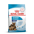 Royal Canin Maxi Starter Mother & Babydog dry dog food packaging available at zigly