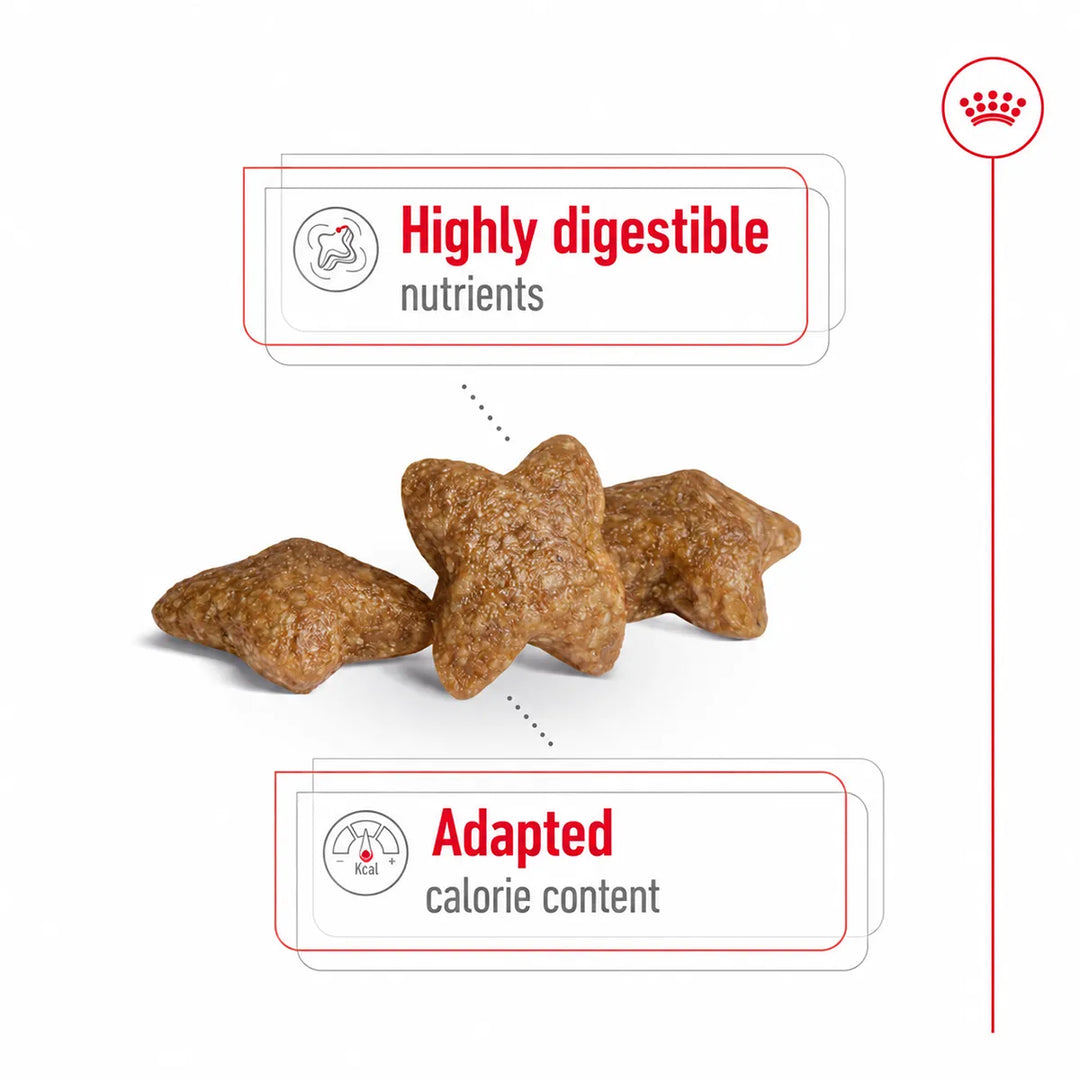 Royal Canin Mini Adult Dry Dog Food