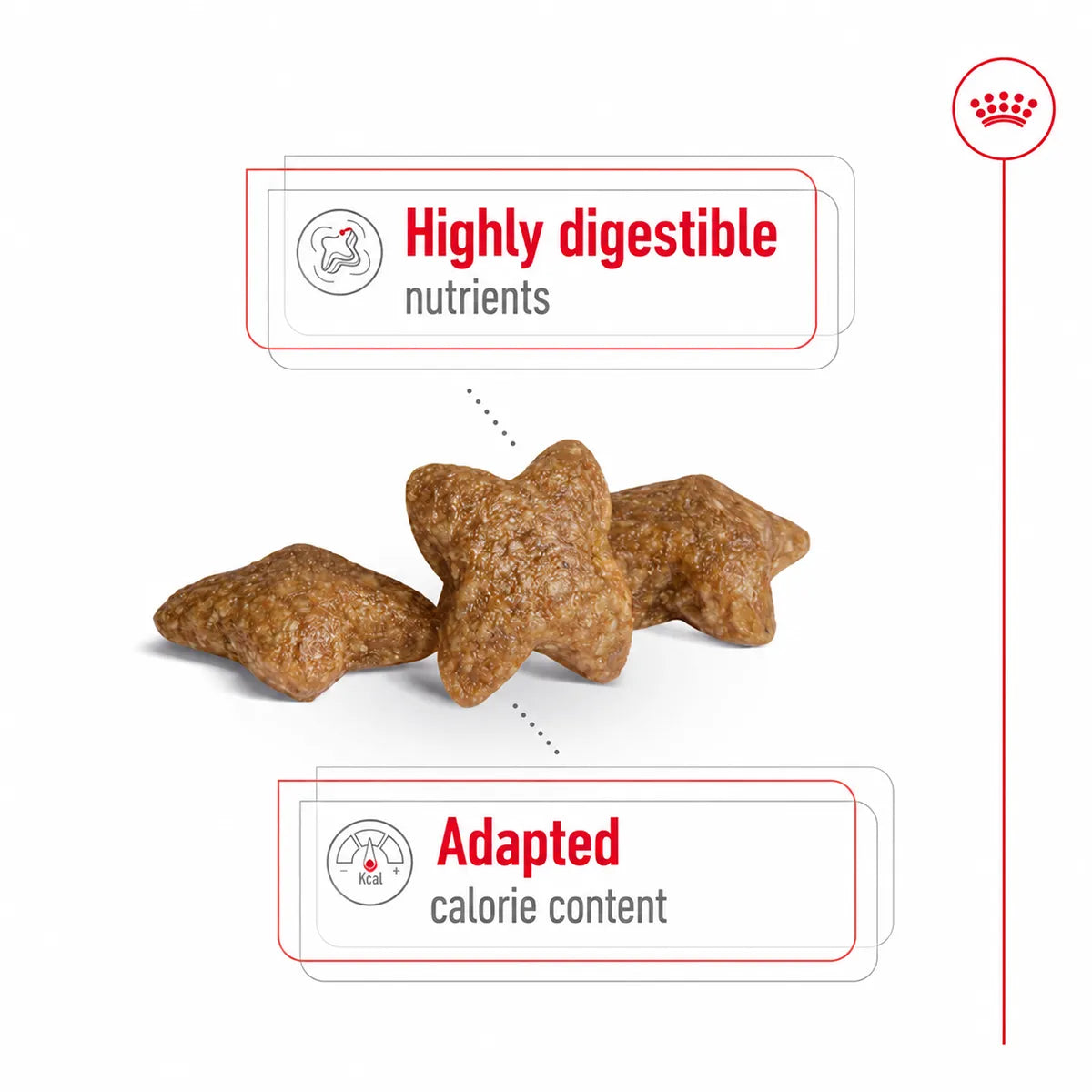Royal Canin Mini Adult Dry Dog Food