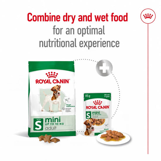 Royal Canin Mini Adult Dry Dog Food