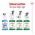 Royal Canin Mini Adult Dry Dog Food