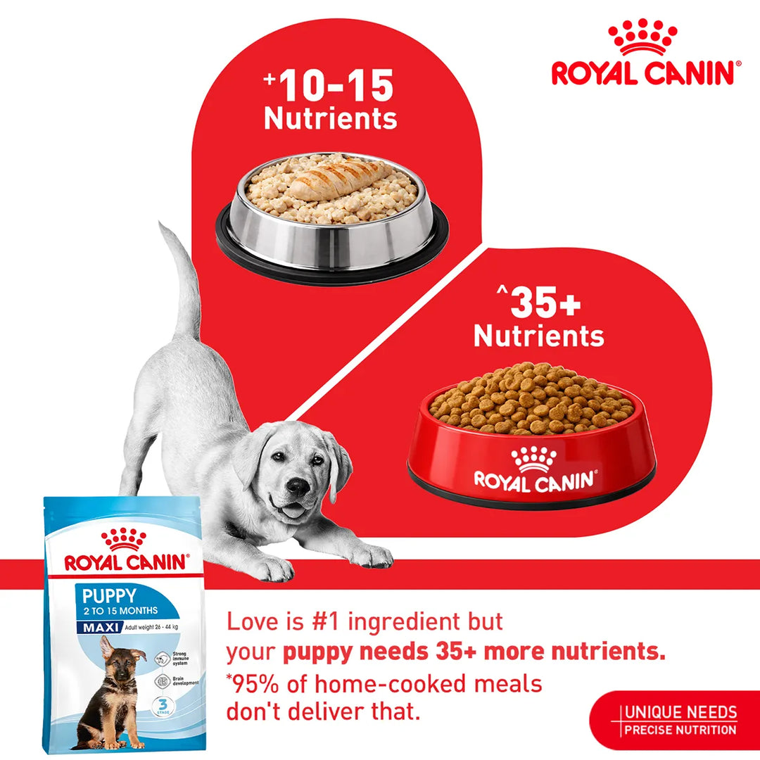 Royal Canin Maxi Puppy food comparison showing nutrition benefits for puppies from zigly