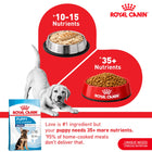 Royal Canin Maxi Puppy food comparison showing nutrition benefits for puppies from zigly