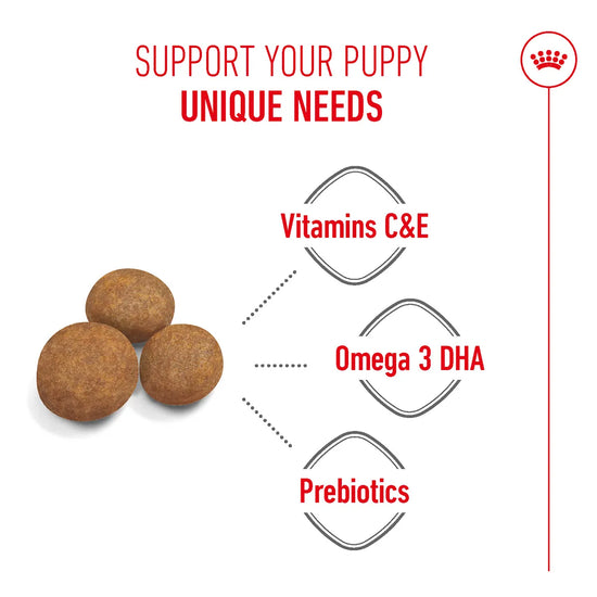 Royal Canin Maxi Puppy food kibble with Vitamins C&E, Omega 3 DHA, and Prebiotics from zigly