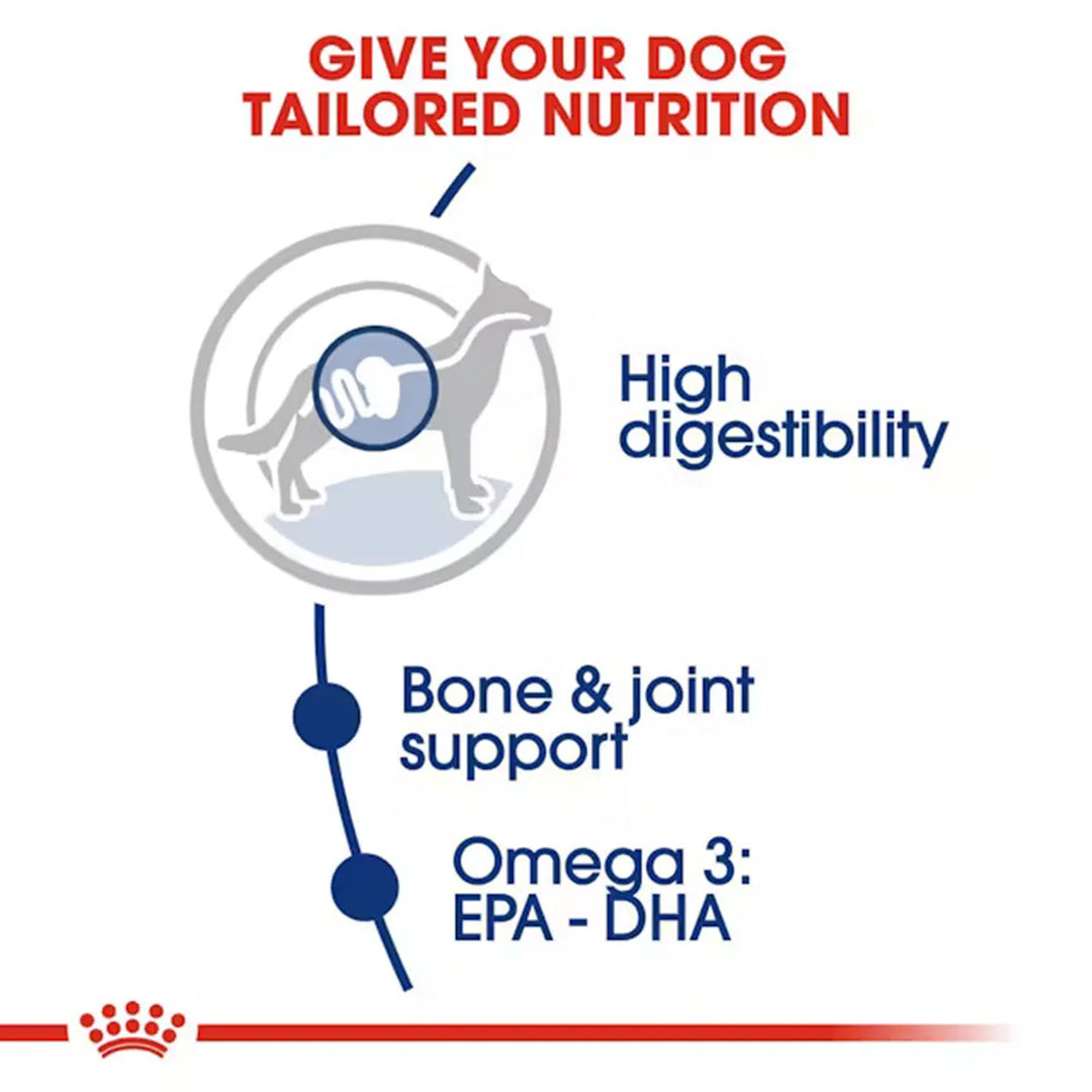 Royal Canin Maxi Adult dog food nutrition benefits featuring high digestibility and zigly