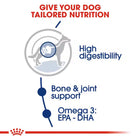 Royal Canin Maxi Adult dog food nutrition benefits featuring high digestibility and zigly