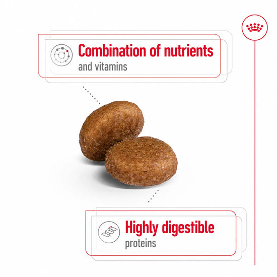 Royal Canin Maxi Adult dry dog food kibble with nutrient and protein highlights from Zigly