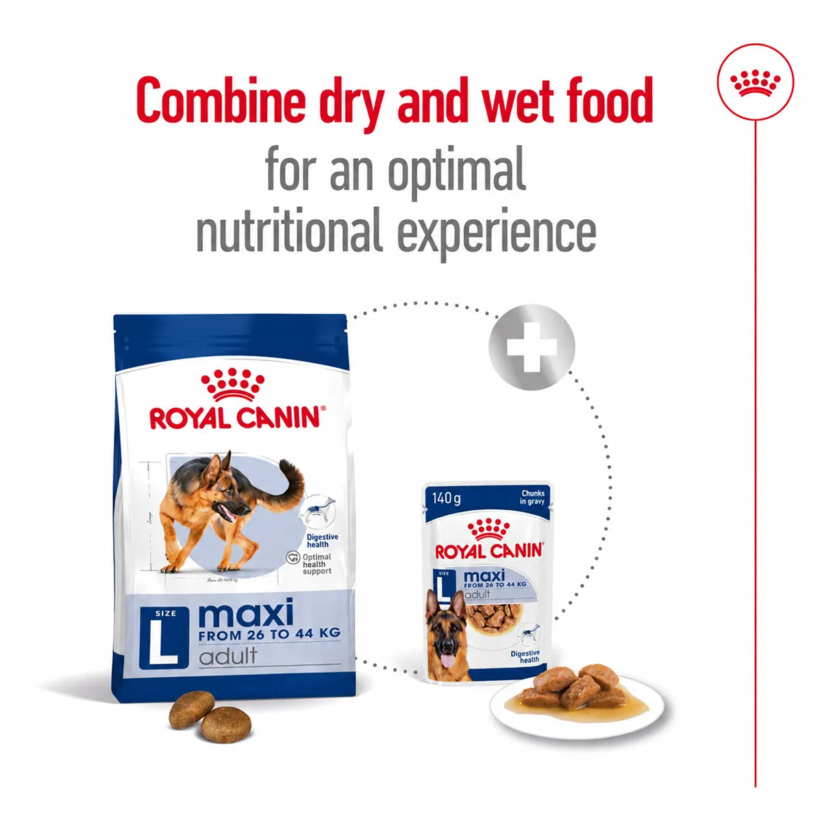 Royal Canin Maxi Adult dry and wet dog food combination for optimal nutrition from zigly