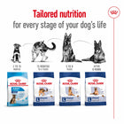 Royal Canin Maxi dog food range for various life stages available at zigly