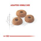 Royal Canin Fit 32 adult cat food adapted kibble size displayed on Zigly
