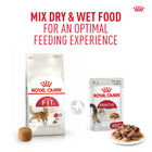 Royal Canin Fit 32 dry and Instinctive wet cat food mix available at zigly
